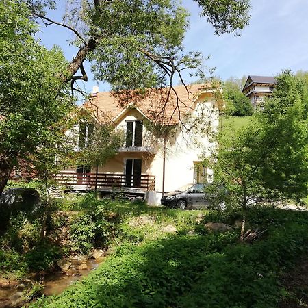 Vila Vrh Crni Vrh Экстерьер фото