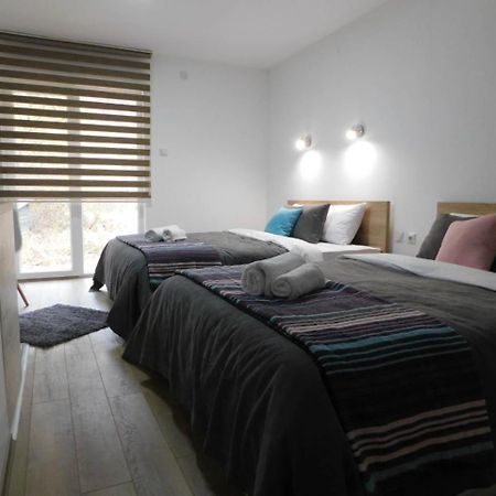 Vila Vrh Crni Vrh Экстерьер фото