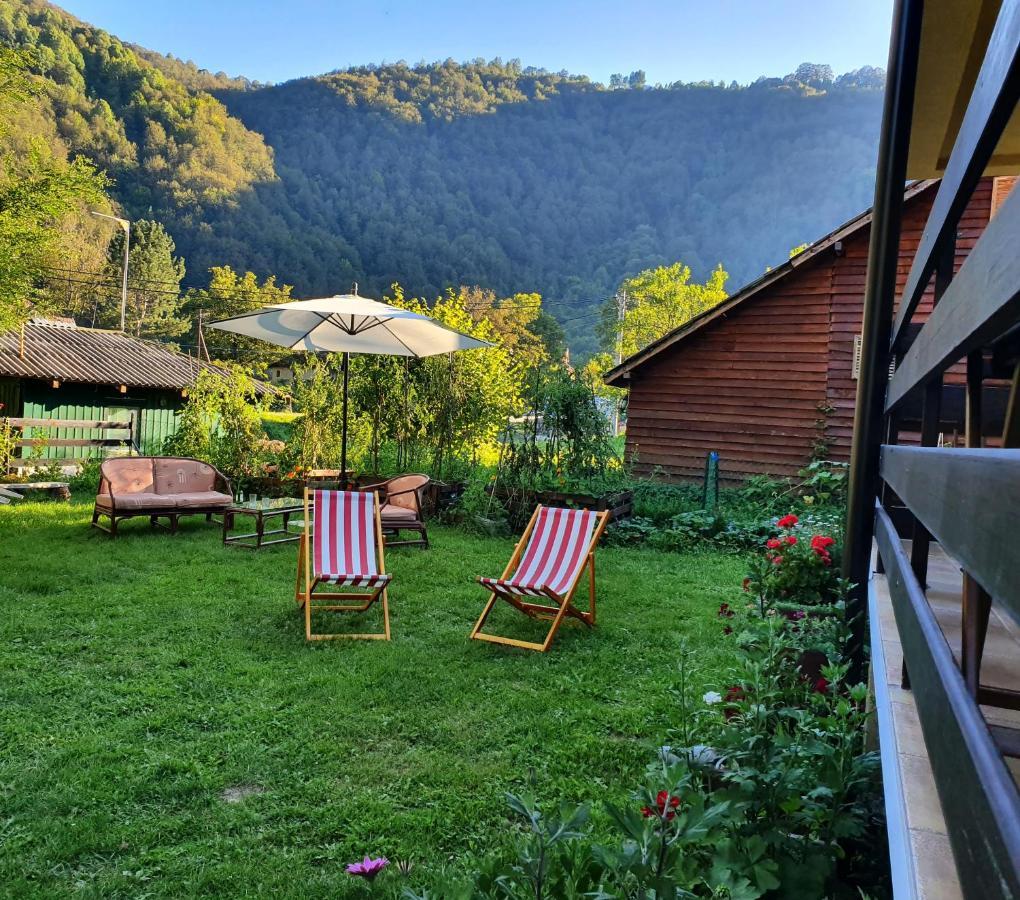 Vila Vrh Crni Vrh Экстерьер фото