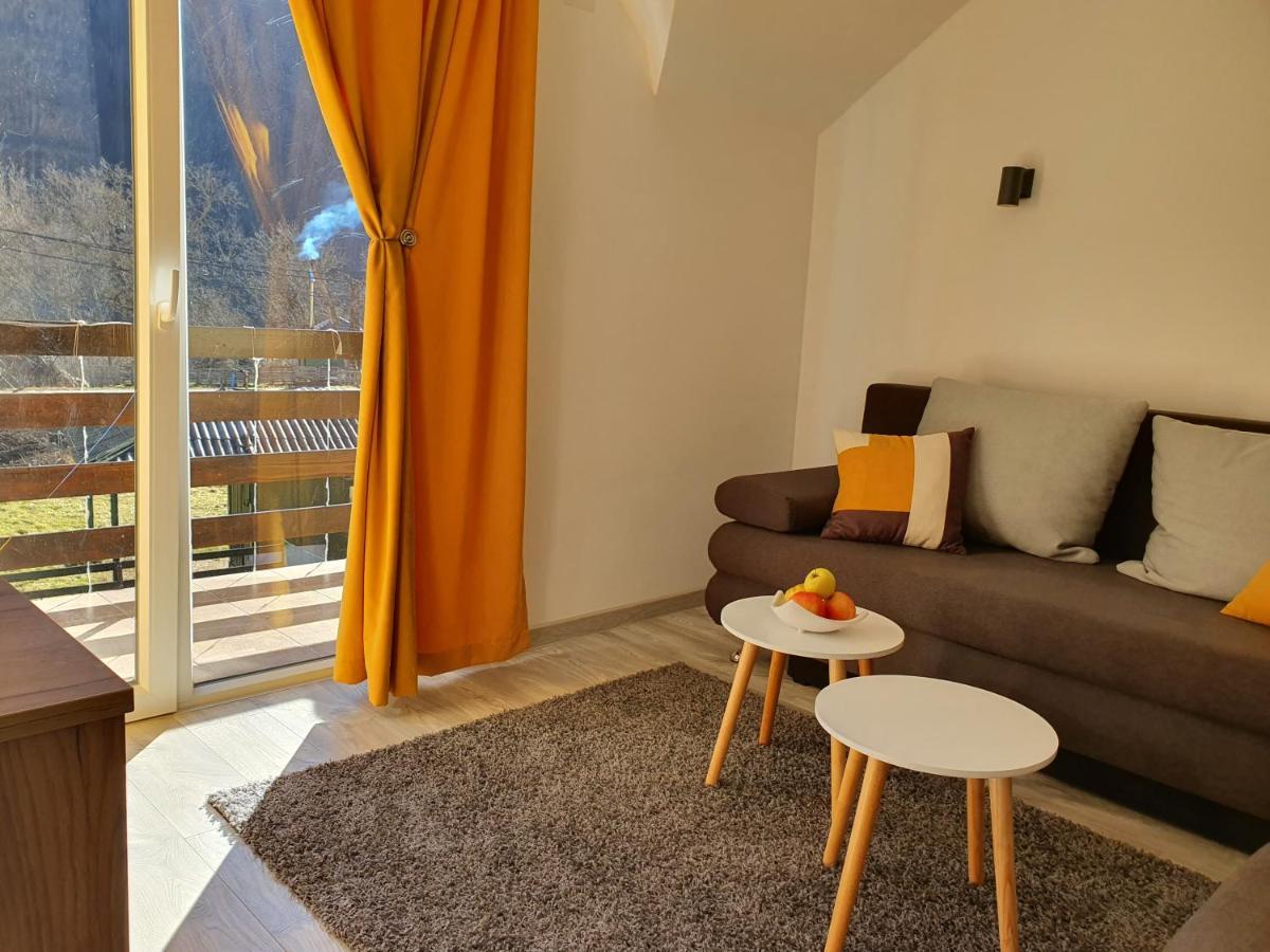 Vila Vrh Crni Vrh Экстерьер фото