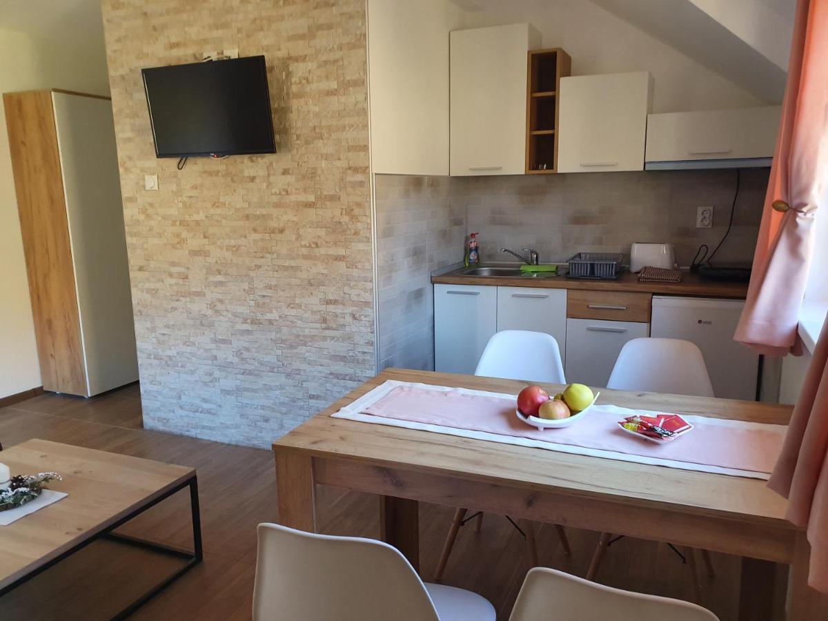 Vila Vrh Crni Vrh Экстерьер фото