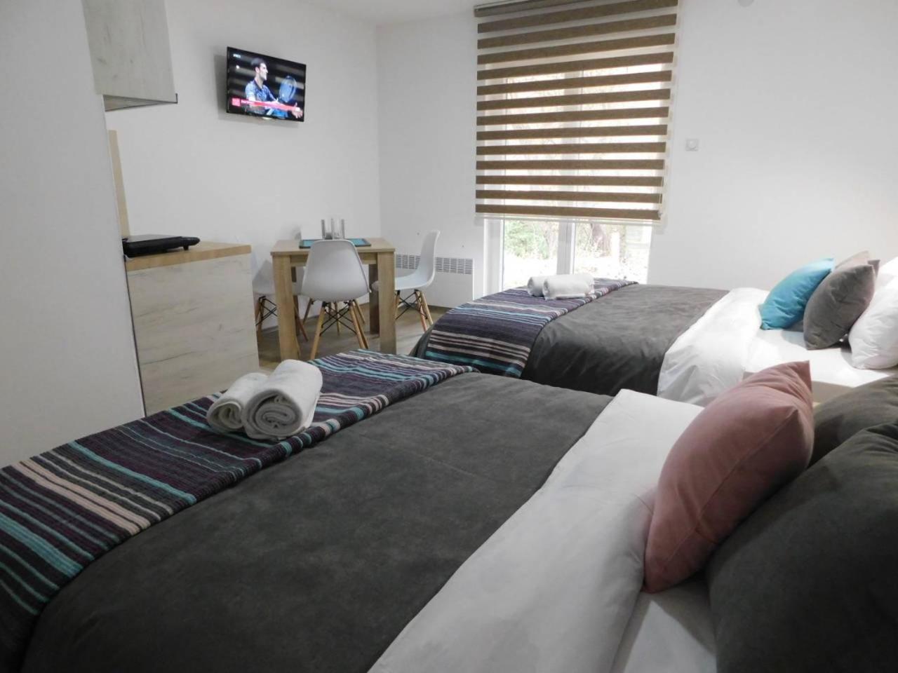 Vila Vrh Crni Vrh Экстерьер фото