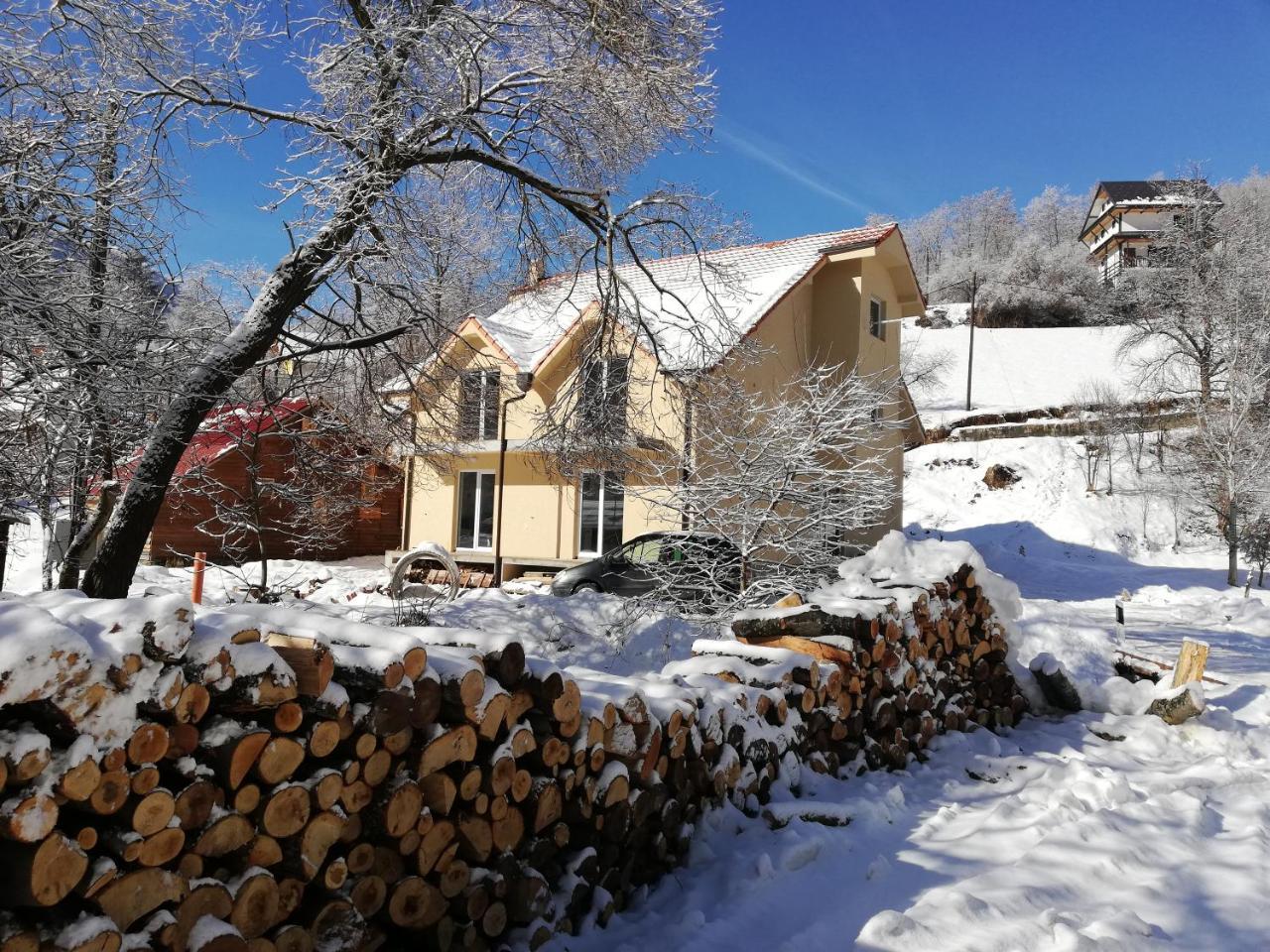 Vila Vrh Crni Vrh Экстерьер фото
