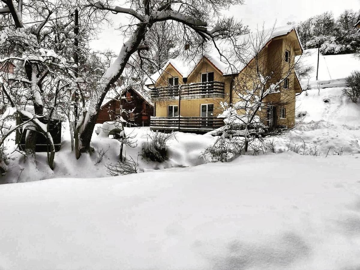 Vila Vrh Crni Vrh Экстерьер фото