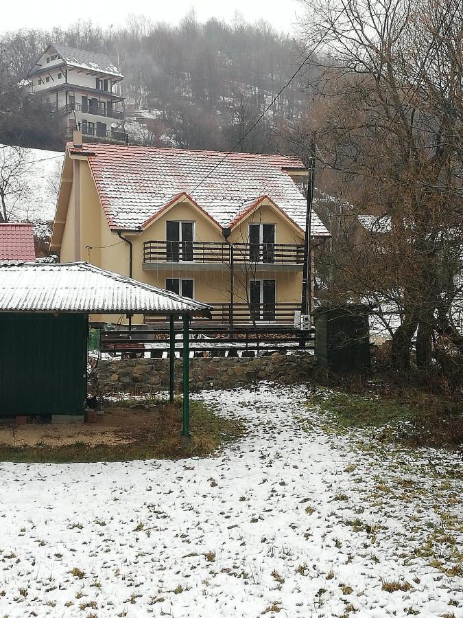 Vila Vrh Crni Vrh Экстерьер фото